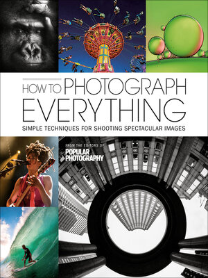 cover image of How to Photograph Everything